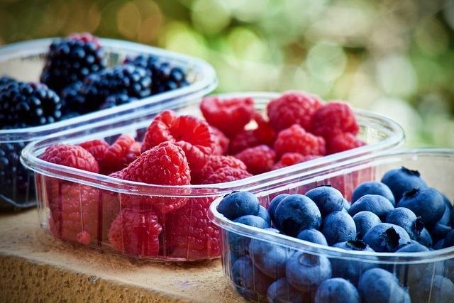 Nutrition Essentials to Complement Your Fitness Journey